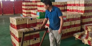 浙江金华“疆果东送”三年：逾37万吨“新疆好物”销往长三角