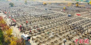 新疆北屯为何能成“美丽中国·深呼吸小城”？