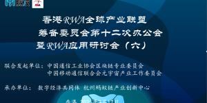 RWA全球风暴的“起风之地”