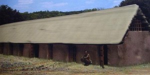 蒙城尉迟寺出土最大的陶制品，住在里面冬暖夏凉，堪称古代高科技