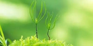 皓轩运动：追求舒适运动与特色，为健康运动保驾护航