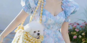 赵露思、虞书欣同品/牌蓝裙，来康康美女们