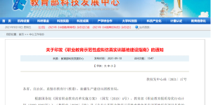 重磅！教育部科技发展中心：关于印发《职业教育示范性虚拟仿真实训基地建设指南》的通知