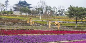 北京世园会开园啦！这里有一份超详细游园地图！请查收！