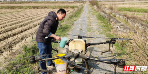 春耕进行时：高科技出动，无人机保护秧苗茁壮成长