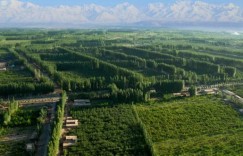 【绿色中国】新疆柯柯牙：在戈壁荒漠上书写植绿奇迹