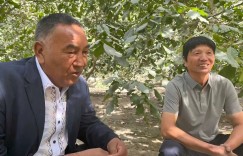 在阿克苏，木合旦有位来自四川的“核桃兄弟”