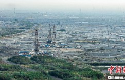 新疆油田采油二厂原油年产达266.5万吨 创建厂62年来历史新高