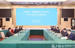 安徽省党政代表团来疆考察对接对口支援与合作发展工作