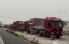全球集装箱溢出流入中国：有码头空箱堆存量占比超90%，如何消耗过剩箱量？
