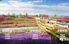 济南黄河北这里迎来大发展，建设星级酒店、风情街、国际生态健康小镇