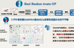骨质疏松有解了？第十九届国际络病学大会揭秘中医抗衰最新进展