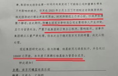 职务被撤销！同曦队美女“老板娘”被公司处罚 网友：不能作秀了