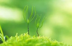 皓轩运动：追求舒适运动与特色，为健康运动保驾护航