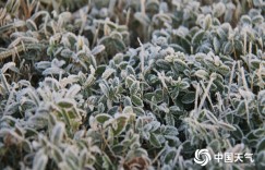 今起两股冷空气将接踵而至 全国大部雨雪稀少