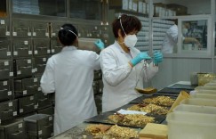 疫情防治中的中医药力量
