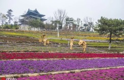 北京世园会开园啦！这里有一份超详细游园地图！请查收！