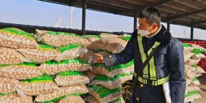 新疆和田开行出境核桃专列