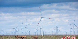 新疆电网新能源装机突破4000万千瓦 占比36.09%