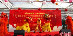 新疆新星市草莓采摘文旅节暨梅花文化节开幕 促休闲游升温