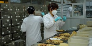 疫情防治中的中医药力量