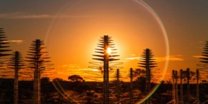 White Spark Pictures用VR纪录片“超越银河系”