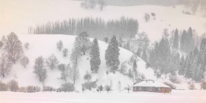 【冬日那拉提】黑白水墨画·极简至美