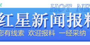 飞向月球！“气球狗”创作者杰夫·昆斯雕塑将登月并发行NFT