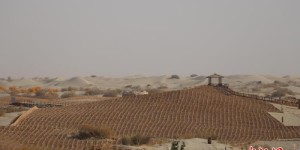 大漠访千年古刹 黄沙掩东西“佛缘”