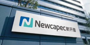 “故事大王”新开普：“数字货币”和“元宇宙”，一个都不错过？