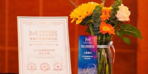 上海桐兴数据荣获FMIF Awards未来元宇宙创新软件奖（算法引擎）