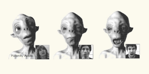 苹果面部追踪专利曝光，用于创建Animoji和Memoji等