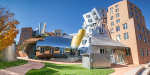 我在MIT人工智能研究实验室工作一年学到的 5 件事