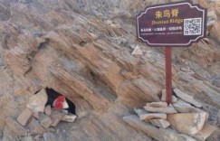 赤羽凝霞：丝路岩洞里的朱雀与星宿之约