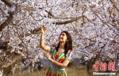 人这一辈子，一定要去一趟新疆托克逊