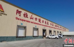 新疆阿拉山口口岸首批公路运输进境种苗顺利入境