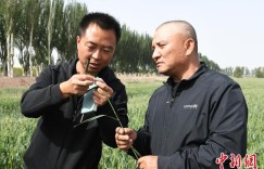 新疆兵团：科技成果转化有力支撑民生改善