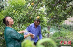 源自香港，“健康快车”让22万余名眼疾患者重见光明