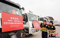 中国至巴基斯坦启动TIR国际公路运输 沿途海关原则上不查验、不开箱
