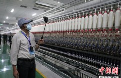 外媒走进新疆尉犁 触摸大漠边缘的丰饶生机