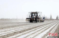 春耕春播季 新疆兵团农业何以持续“耕”新？