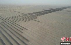 新疆阿克苏打造“新引擎” 激发治沙新动能