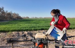 新疆兵团乡村振兴中的“飞手”夫妻