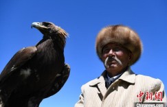 新疆七旬驯鹰人培养300余名传承人