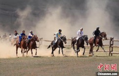 新疆福海县奏起“夏日牧歌”
