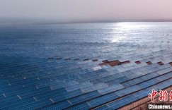 塔克拉玛干沙漠腹地中有一片“蓝海”，点亮生态与经济