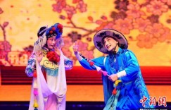 （寻味中华丨戏曲）南腔北调汇新疆曲子