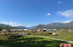 固旧布新 古老禾木焕活力