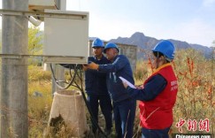 电力护航新疆小沙棘种出大产业