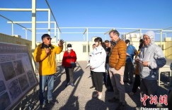 中外专家学者实地探访吐鲁番西旁景教寺院遗址